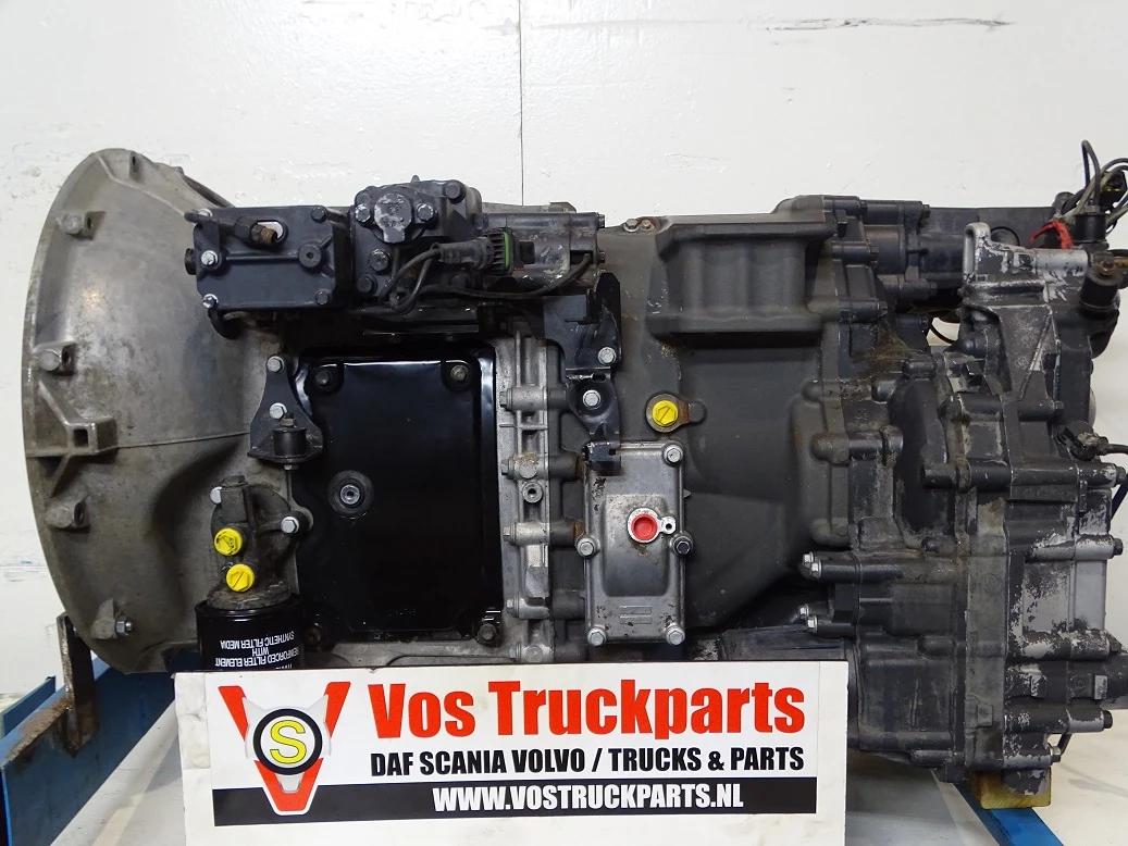 Scania 2019 - GRS-895R O N.T. Bild 1