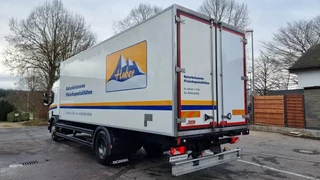 Scania P 2016 - P360 4X2 Fleisch Rohrbahnen Carrier Vector 1550 obrazek 4