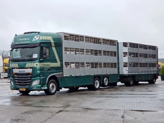 DAF XF 440 2015 - SuperSpaceCab 6x2*4 - Cuppers 1-2-3 deck Livestock + Cuppers 3 deck trailer 2009 obrazek 6