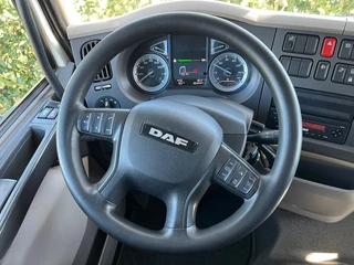 DAF LF 290 2018 - FA obrazek 29