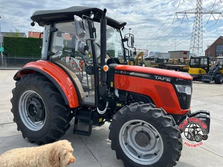 Tafe N/A - 6515 4wd. obrazek 4