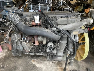 DAF N/A 2018 - MX-11 300 H2 bild 1