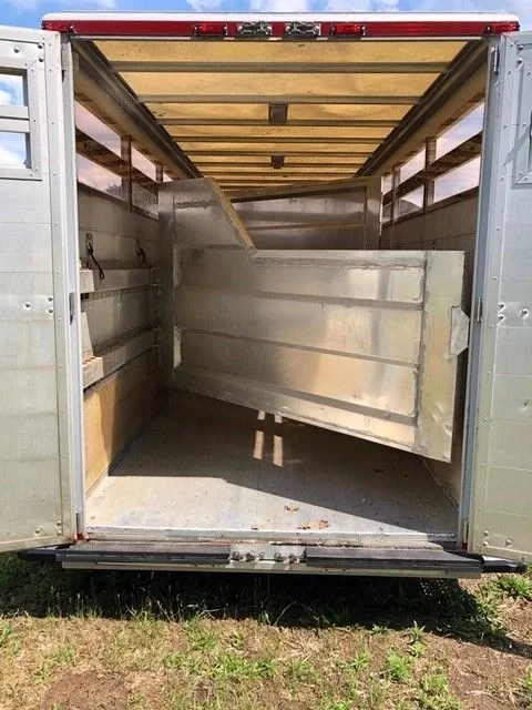 NOYENS 2003 - Be Oplegger Noyens 5100 kg Aluminium paardentrailer BE image 7