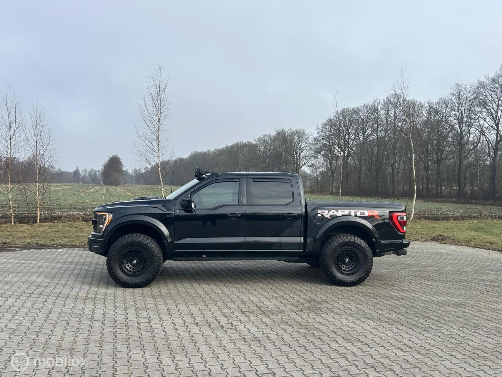 Ford F-150 2024 - USA Raptor R 5.2 Supercharged image 16