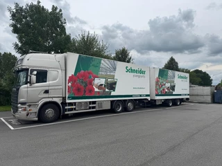 Scania R 2011 - R440 6x2*4 topline flowercombination obrazek 1