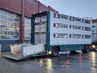 DAF XF 440 2015 - SuperSpaceCab 6x2*4 - Cuppers 1-2-3 deck Livestock + Cuppers 3 deck trailer 2009 obrazek 59