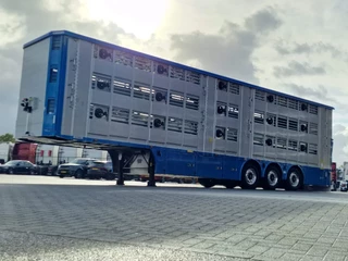 Pezzaioli N/A 2026 - New 3 stock livestock trailer 95.4M2 - Water & Ventilation - Lifting floors - Lifting roof - Lift axle immagine 4