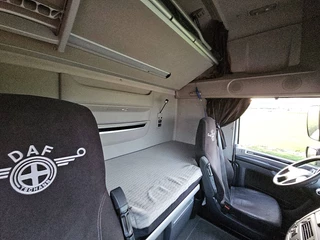 DAF N/A 2019 - XF 530 immagine 14