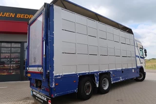 DAF XF 105 2012 - XF 105-460 - 2012 - 2-3 floors, Pigs transport image 6