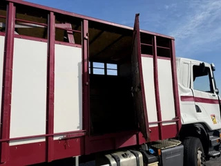 Scania G 2014 - G280 / ENGINE RUNNING / RETARDER / ONLY:215411 KM / LIVESTOCK / AUTOMATIC / EURO-6 / 2014 obrazek 29
