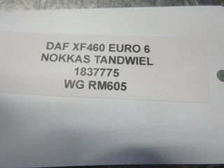 DAF XF 460 - 1837775 NOKKAS TANDWIEL EURO 6 afbeelding 3 miniatuur