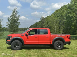Ford F-150 2024 - USA Raptor obrazek 4