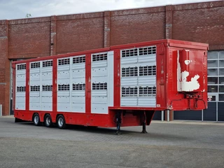 Finkl N/A 2008 - SAV35 - 3 deck Livestock - Water & Ventilation - Lifting Floors - Lifting roof image 2