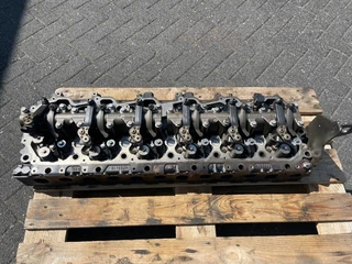 DAF N/A 2019 - 2184939 / 2188416 CILINDERKOP MX-13 355KW MEB immagine 1
