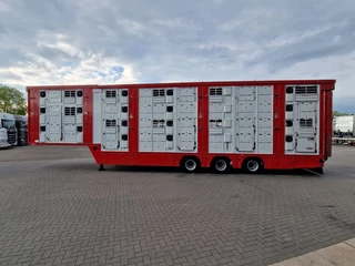 Finkl N/A 2008 - SAV35 - 3 deck Livestock - Water & Ventilation - Lifting Floors - Lifting roof image 5