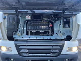 DAF 85.360 2007 - 8X2 SINGLE CAB CHASSIS obrazek 3