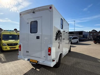 Opel Movano 2023 - Paardenwagen/Veewagen Hengsten Uitvoering Airco Cruisecontrol NIEUW image 6