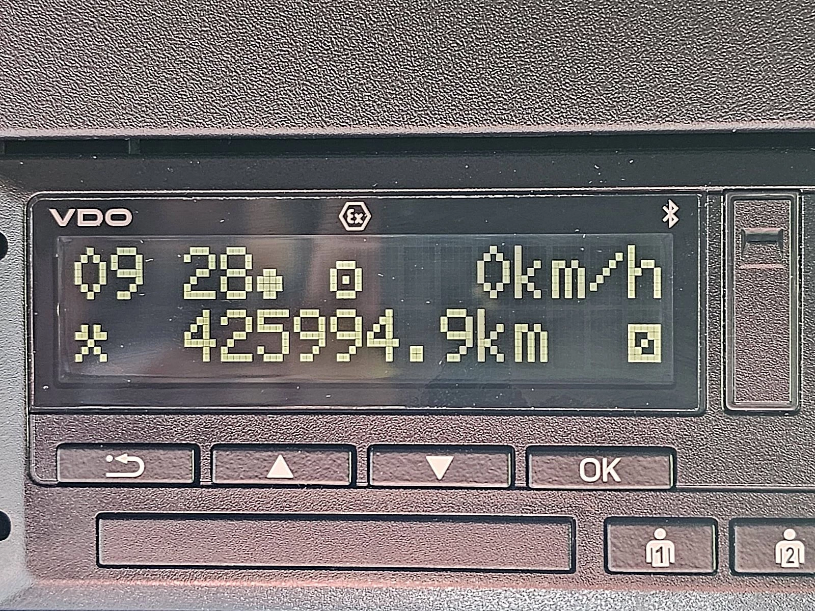 DAF 2022 - XG 480 immagine 9