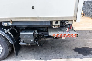 Renault N/A 2017 - D14 250 + DHOLLANDIA afbeelding 15