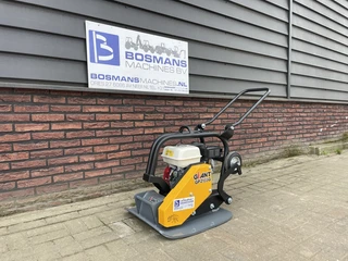 Giant GP2155G trilplaat NIEUW 2024 afbeelding 2 miniatuur