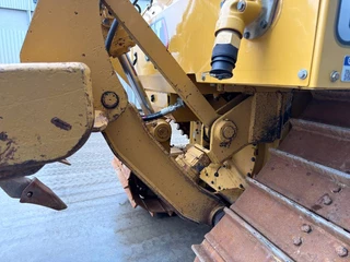 Cat N/A 2020 - D5 LGP image 6