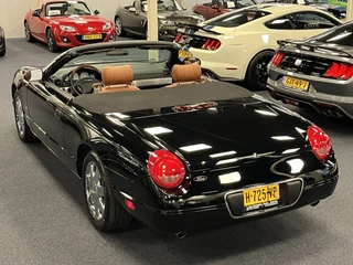 Ford Thunderbird 2003 - USA Convertible 4.0i V8 Premium Automaat obrazek 68