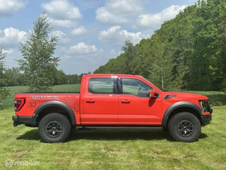 Ford F-150 2024 - USA Raptor obrazek 2