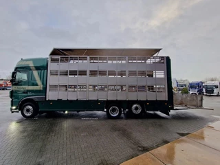 DAF XF 440 2015 - SuperSpaceCab 6x2*4 - Cuppers 1-2-3 deck Livestock imagen 4