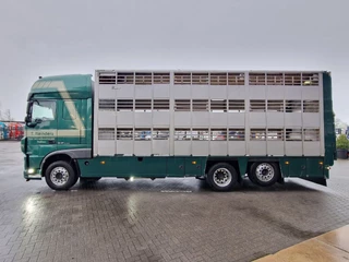 DAF XF 440 2015 - SuperSpaceCab 6x2*4 - Cuppers 1-2-3 deck Livestock изображение 15