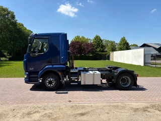 DAF LF 260 2017 - TREKKER 26 TON 2017 immagine 3
