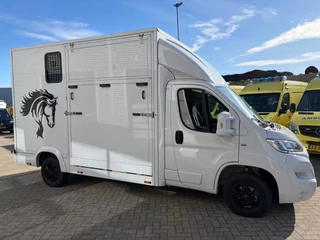 Opel Movano 2023 - Paardenwagen/Veewagen Hengsten Uitvoering Airco Cruisecontrol NIEUW image 3