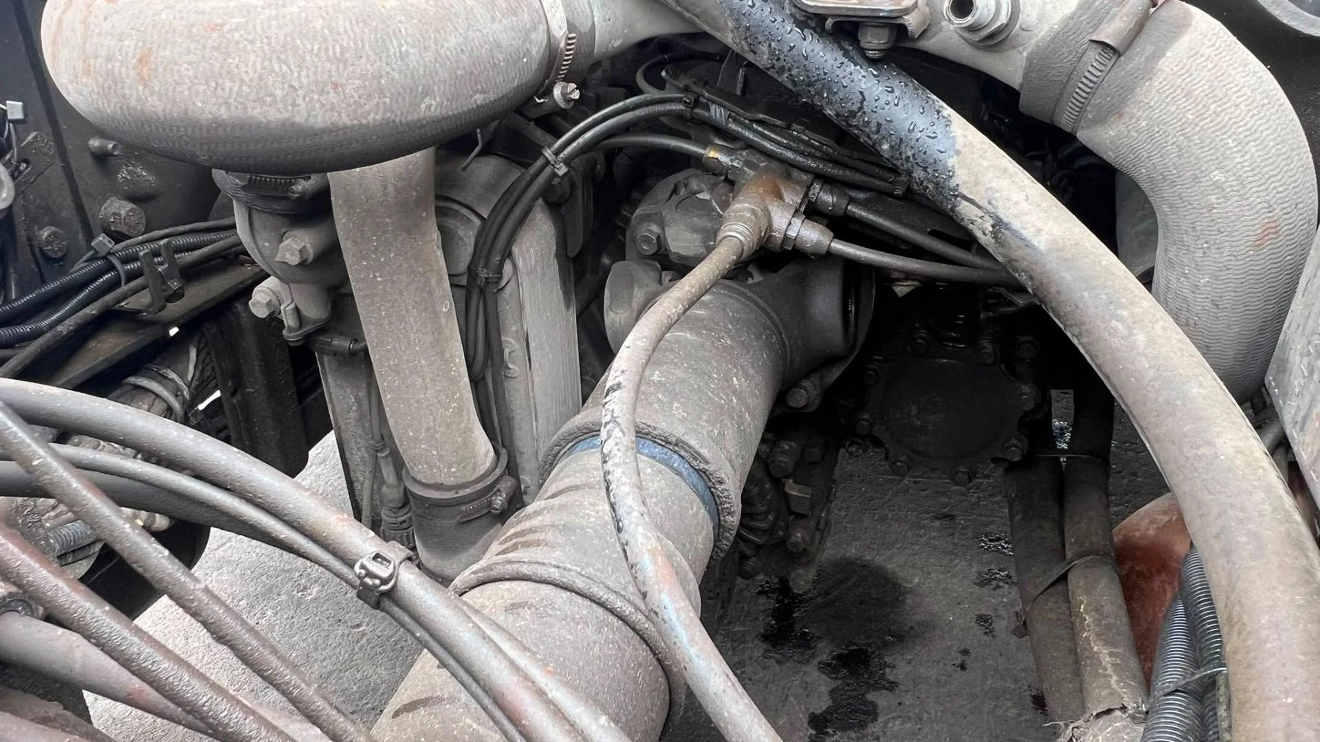Scania G 2019 - 450 Bild 16