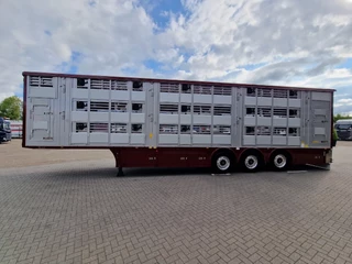 Pezzaioli N/A 2025 - New - 3 deck livestock 100M2 - Water & Ventilation - Lifting floors - Lifting roof - NEW 2025 obrazek 29