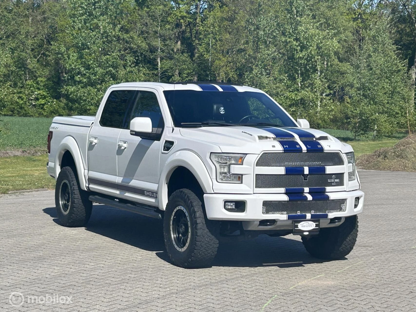 Ford F-150 2016 - USA Shelby zdjęcie 6