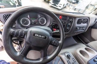DAF N/A 2014 - LF55 250+CHEREAU+TK+DHOLLANDIA immagine 16