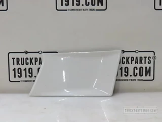 Scania N/A - 2978846 Afdekkap grill Li. Scania afbeelding 1