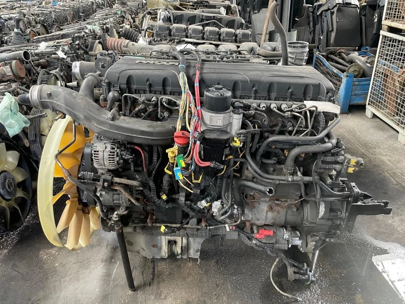 DAF 2015 - MX-11 291 H1 immagine 1