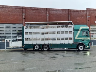 DAF XF 440 2015 - SuperSpaceCab 6x2*4 - Cuppers 1-2-3 deck Livestock изображение 6