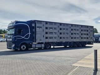 Pezzaioli 2017 - + Daf XF - 3/4 deck livestock - 134.8m2 - Water & Ventilation - Lifting roof afbeelding 2 miniatuur