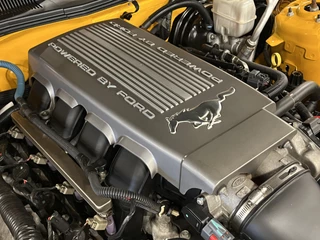 Ford Mustang 2009 - Coupe 4.6i V8 GT Premium 45th Anniversary Edition obrazek 29