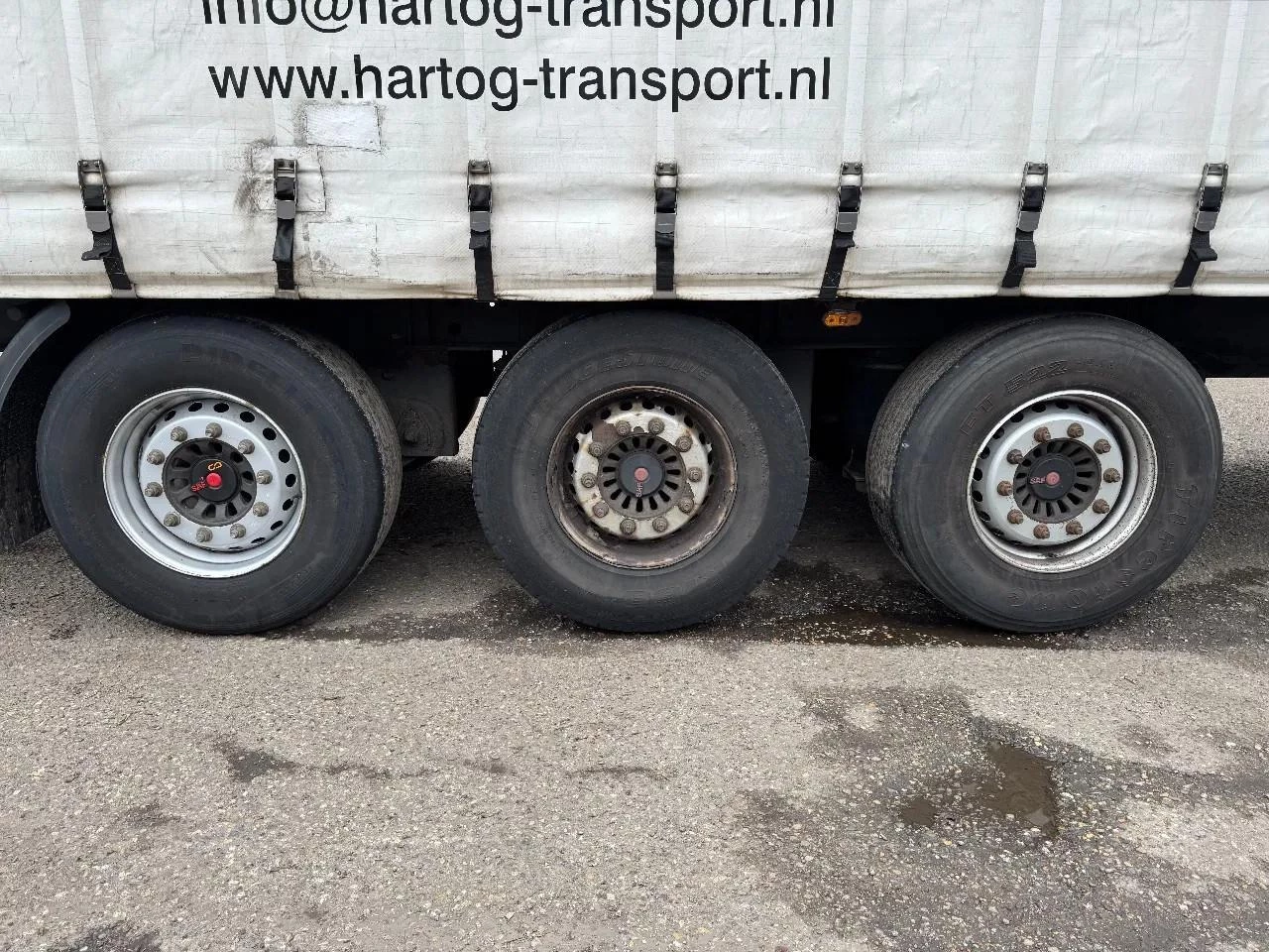 Pacton TXD.3 2011 obrázek 5