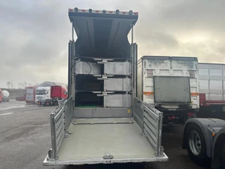 Berdex NO BERDEX HMK 4 stock livestock trailer SPF 2014 - N/A obrazek 8
