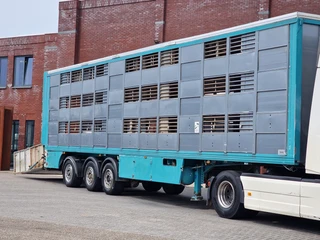 Lecitrailer 2013 - Guiton livestock trailer 3 deck - Loadlift - Steering axle - Moving floors te koop