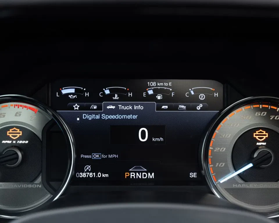 Ford F-150 2019 - (USA) Harley Davidson V8 5.0L Tuscany Motor Co. afbeelding 50