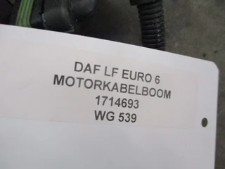 DAF - LF EURO 6 1714693 MOTORKABELBOOM zdjęcie 2 miniatura