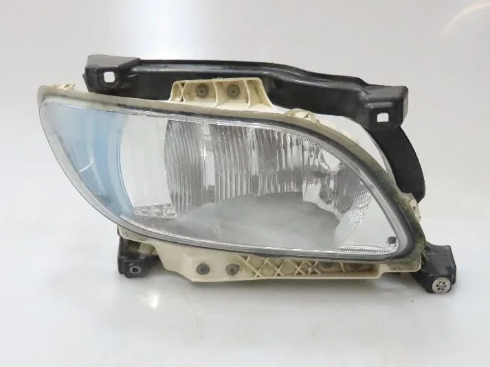 Hella - Lighting Mistlamp Re. DAF afbeelding 1